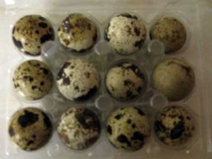 Japanese Quail Eggs